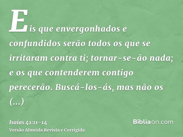 Eis que envergonhados e confundidos serão todos os que se irritaram contra ti; tornar-se-ão nada; e os que contenderem contigo perecerão.Buscá-los-ás, mas não o