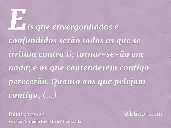 Eis que envergonhados e confundidos serão todos os que se irritam contra ti; tornar-se-ão em nada; e os que contenderem contigo perecerão.Quanto aos que pelejam