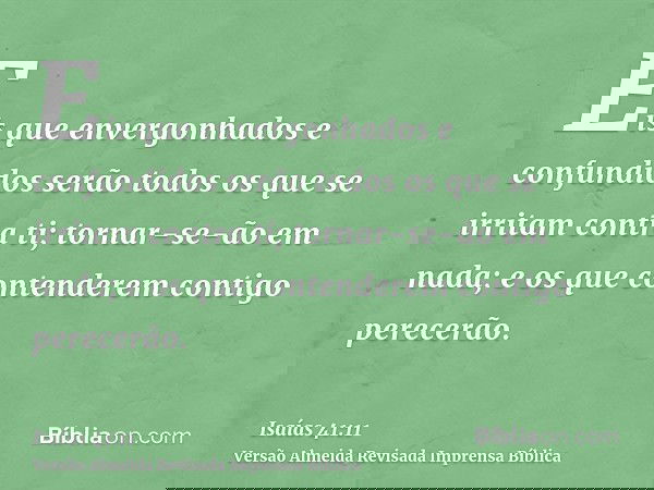 Eis que envergonhados e confundidos serão todos os que se irritam contra ti; tornar-se-ão em nada; e os que contenderem contigo perecerão.
