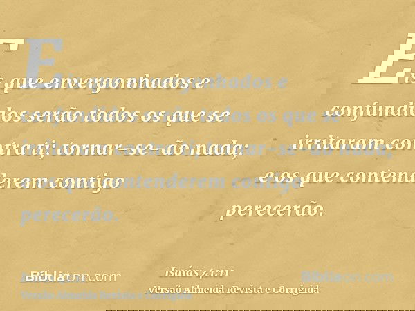 Eis que envergonhados e confundidos serão todos os que se irritaram contra ti; tornar-se-ão nada; e os que contenderem contigo perecerão.