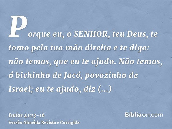 Porque eu, o SENHOR, teu Deus, te tomo pela tua mão direita e te digo: não temas, que eu te ajudo.Não temas, ó bichinho de Jacó, povozinho de Israel; eu te ajud