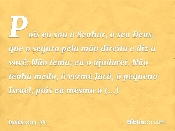 Pois eu sou o Senhor, o seu Deus,
que o segura pela mão direita
e diz a você: Não tema; eu o ajudarei. Não tenha medo, ó verme Jacó,
ó pequeno Israel,
pois eu m