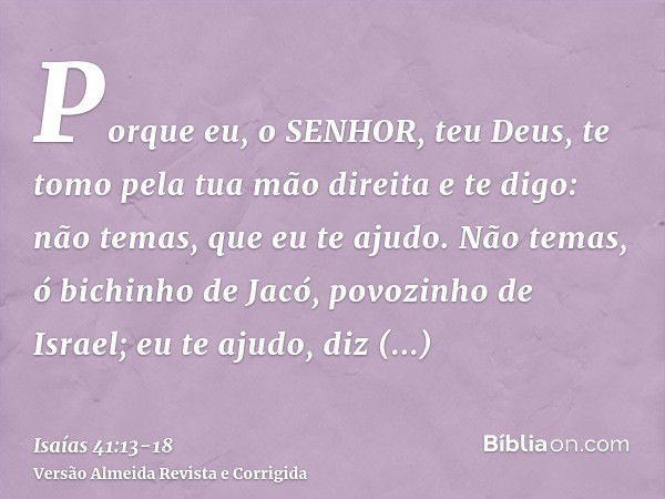 Porque eu, o SENHOR, teu Deus, te tomo pela tua mão direita e te digo: não temas, que eu te ajudo.Não temas, ó bichinho de Jacó, povozinho de Israel; eu te ajud