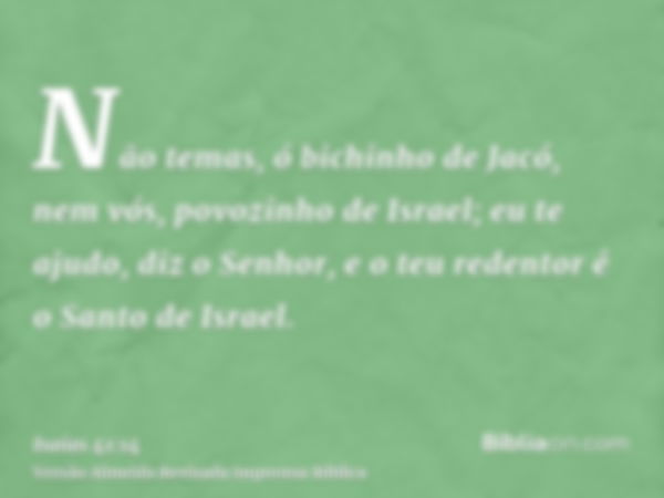 Não temas, ó bichinho de Jacó, nem vós, povozinho de Israel; eu te ajudo, diz o Senhor, e o teu redentor é o Santo de Israel.