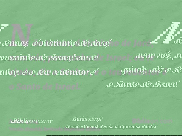 Não temas, ó bichinho de Jacó, nem vós, povozinho de Israel; eu te ajudo, diz o Senhor, e o teu redentor é o Santo de Israel.