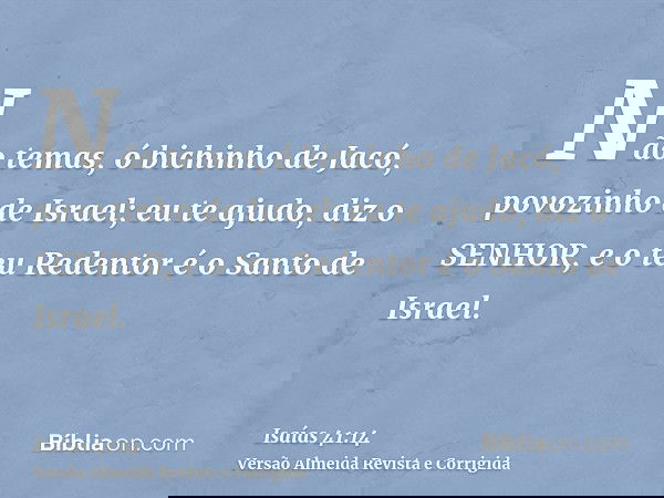 Não temas, ó bichinho de Jacó, povozinho de Israel; eu te ajudo, diz o SENHOR, e o teu Redentor é o Santo de Israel.