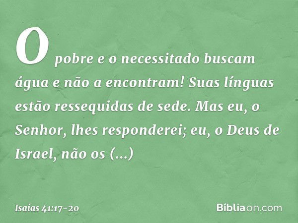 "O pobre e o necessitado buscam água
e não a encontram!
Suas línguas estão ressequidas de sede.
Mas eu, o Senhor, lhes responderei;
eu, o Deus de Israel, não os