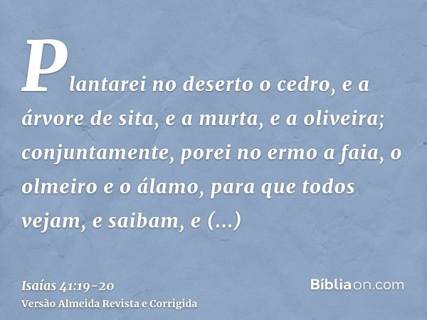 Plantarei no deserto o cedro, e a árvore de sita, e a murta, e a oliveira; conjuntamente, porei no ermo a faia, o olmeiro e o álamo,para que todos vejam, e saib