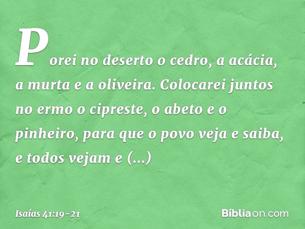 Porei no deserto o cedro,
a acácia, a murta e a oliveira.
Colocarei juntos no ermo
o cipreste, o abeto e o pinheiro, para que o povo veja e saiba,
e todos vejam