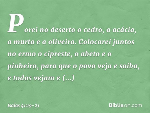 Porei no deserto o cedro,
a acácia, a murta e a oliveira.
Colocarei juntos no ermo
o cipreste, o abeto e o pinheiro, para que o povo veja e saiba,
e todos vejam