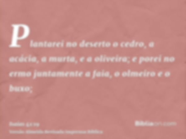 Plantarei no deserto o cedro, a acácia, a murta, e a oliveira; e porei no ermo juntamente a faia, o olmeiro e o buxo;