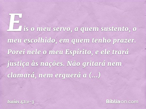 "Eis o meu servo,
a quem sustento,
o meu escolhido, em quem tenho prazer.
Porei nele o meu Espírito,
e ele trará justiça às nações. Não gritará nem clamará,
nem