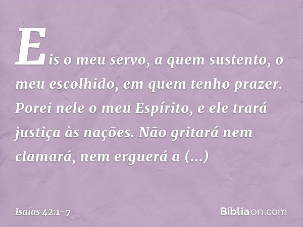 "Eis o meu servo,
a quem sustento,
o meu escolhido, em quem tenho prazer.
Porei nele o meu Espírito,
e ele trará justiça às nações. Não gritará nem clamará,
nem