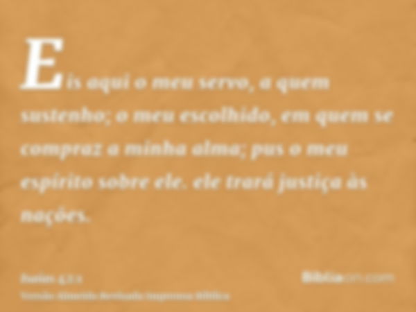 Eis aqui o meu servo, a quem sustenho; o meu escolhido, em quem se compraz a minha alma; pus o meu espírito sobre ele. ele trará justiça às nações.