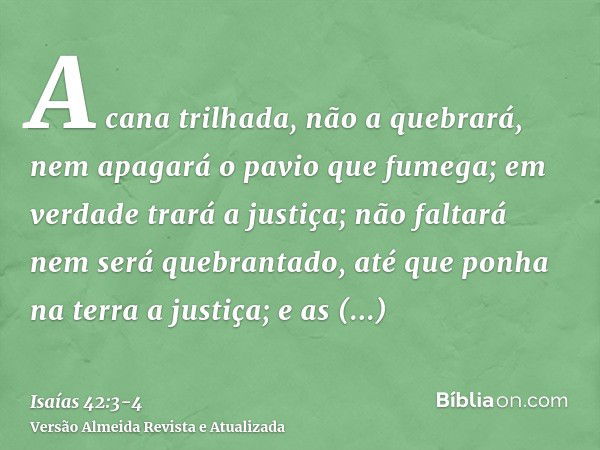 A cana trilhada, não a quebrará, nem apagará o pavio que fumega; em verdade trará a justiça;não faltará nem será quebrantado, até que ponha na terra a justiça; 