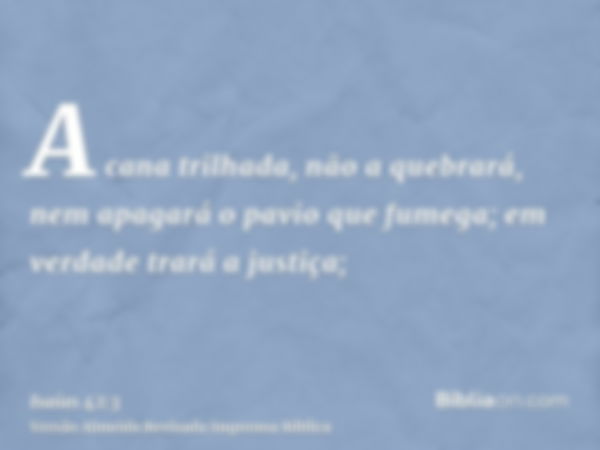 A cana trilhada, não a quebrará, nem apagará o pavio que fumega; em verdade trará a justiça;