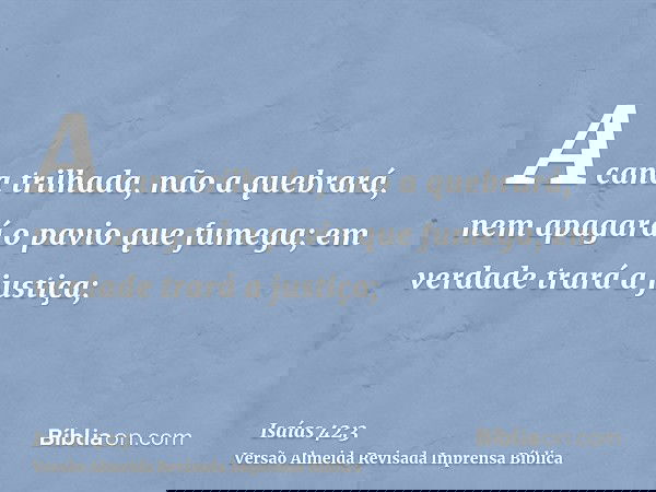 A cana trilhada, não a quebrará, nem apagará o pavio que fumega; em verdade trará a justiça;
