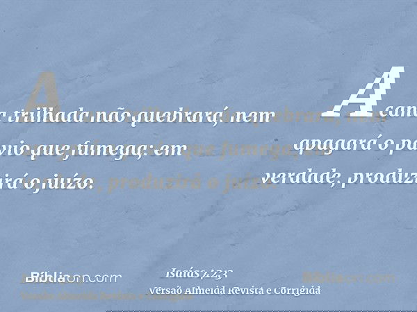 A cana trilhada não quebrará, nem apagará o pavio que fumega; em verdade, produzirá o juízo.
