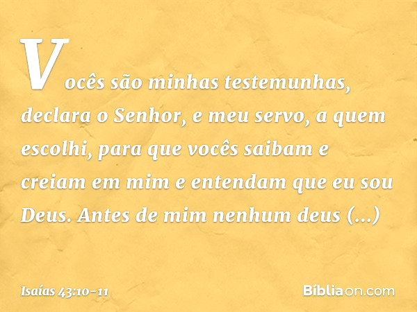 "Vocês são minhas testemunhas",
declara o Senhor,
"e meu servo, a quem escolhi,
para que vocês saibam e creiam em mim
e entendam que eu sou Deus.
Antes de mim n