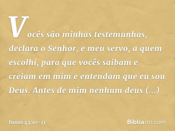 "Vocês são minhas testemunhas",
declara o Senhor,
"e meu servo, a quem escolhi,
para que vocês saibam e creiam em mim
e entendam que eu sou Deus.
Antes de mim n