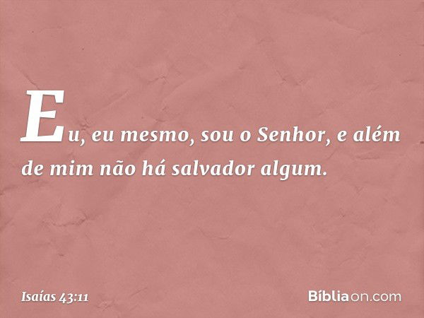 Eu, eu mesmo, sou o Senhor,
e além de mim não há salvador algum. -- Isaías 43:11