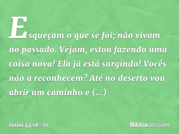 "Esqueçam o que se foi;
não vivam no passado. Vejam, estou fazendo uma coisa nova!
Ela já está surgindo! Vocês não a reconhecem?
Até no deserto vou abrir um cam