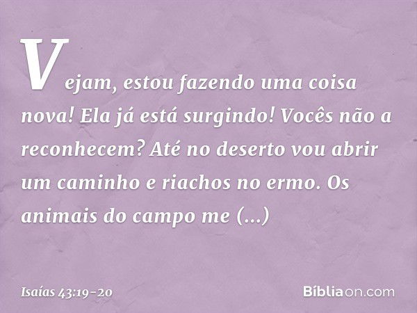 Vejam, estou fazendo uma coisa nova!
Ela já está surgindo! Vocês não a reconhecem?
Até no deserto vou abrir um caminho
e riachos no ermo. Os animais do campo me