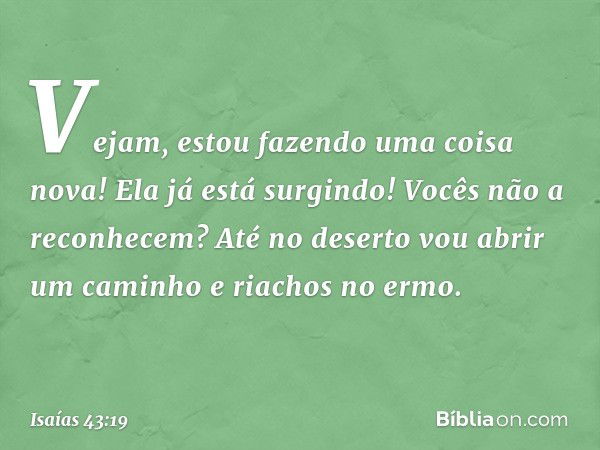 Vejam, estou fazendo uma coisa nova!
Ela já está surgindo! Vocês não a reconhecem?
Até no deserto vou abrir um caminho
e riachos no ermo. -- Isaías 43:19