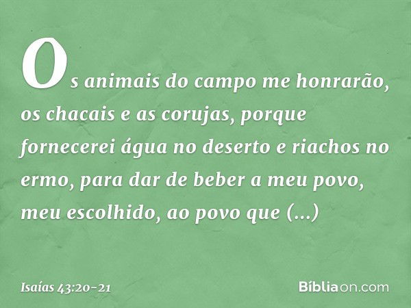 Os animais do campo me honrarão,
os chacais e as corujas,
porque fornecerei água no deserto
e riachos no ermo,
para dar de beber a meu povo,
meu escolhido, ao p