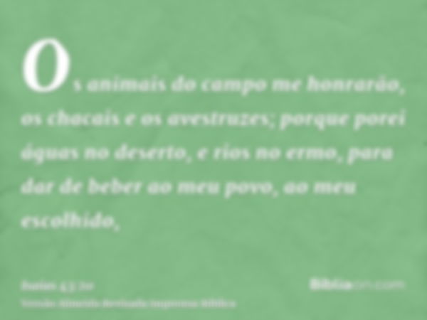 Os animais do campo me honrarão, os chacais e os avestruzes; porque porei águas no deserto, e rios no ermo, para dar de beber ao meu povo, ao meu escolhido,