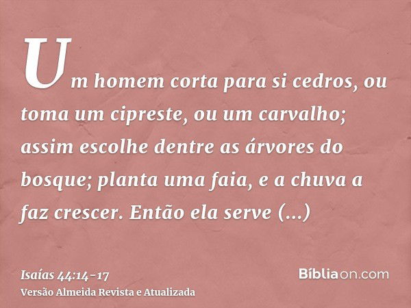 Um homem corta para si cedros, ou toma um cipreste, ou um carvalho; assim escolhe dentre as árvores do bosque; planta uma faia, e a chuva a faz crescer.Então el