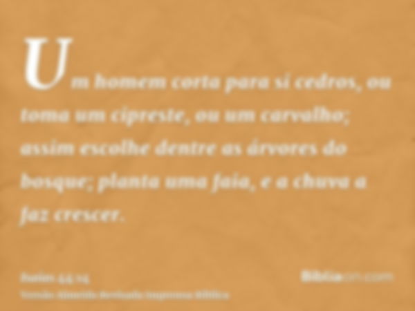 Um homem corta para si cedros, ou toma um cipreste, ou um carvalho; assim escolhe dentre as árvores do bosque; planta uma faia, e a chuva a faz crescer.