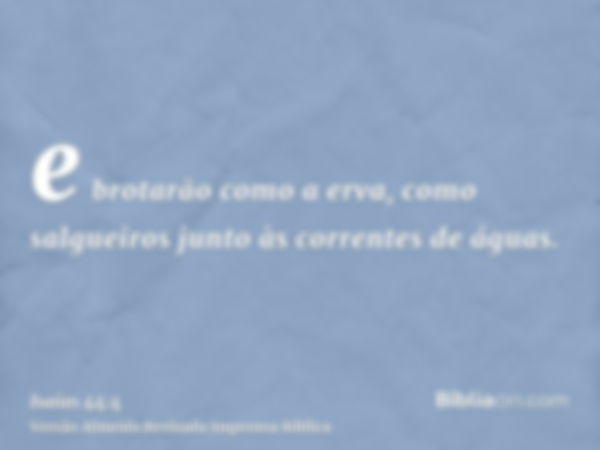 e brotarão como a erva, como salgueiros junto às correntes de águas.