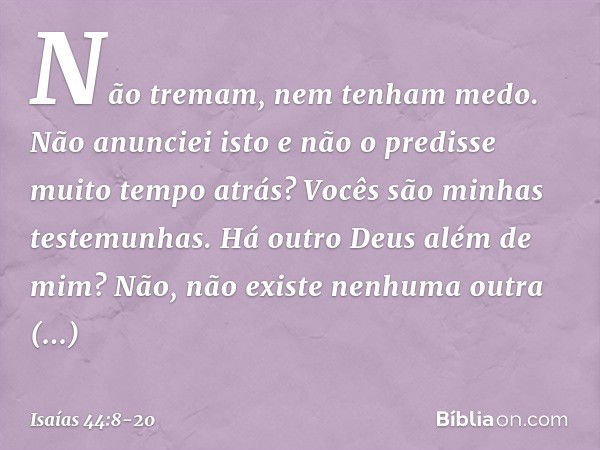 Não tremam, nem tenham medo.
Não anunciei isto e não o predisse
muito tempo atrás?
Vocês são minhas testemunhas.
Há outro Deus além de mim?
Não, não existe nenh