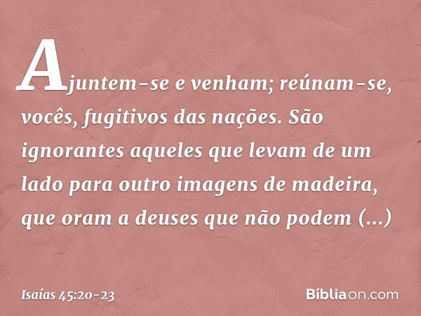 "Ajuntem-se e venham; reúnam-se,
vocês, fugitivos das nações.
São ignorantes aqueles que levam
de um lado para outro
imagens de madeira,
que oram a deuses que n