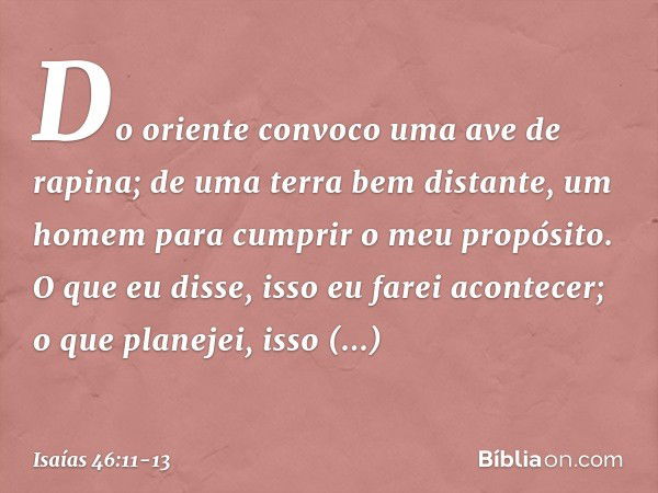 Do oriente convoco uma ave de rapina;
de uma terra bem distante,
um homem para cumprir
o meu propósito.
O que eu disse, isso eu farei acontecer;
o que planejei,