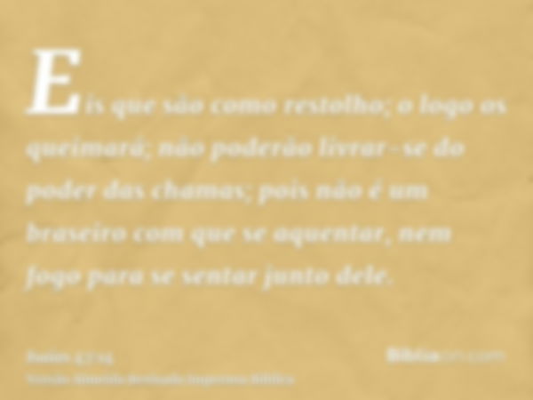 Eis que são como restolho; o logo os queimará; não poderão livrar-se do poder das chamas; pois não é um braseiro com que se aquentar, nem fogo para se sentar ju