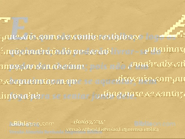 Eis que são como restolho; o logo os queimará; não poderão livrar-se do poder das chamas; pois não é um braseiro com que se aquentar, nem fogo para se sentar ju