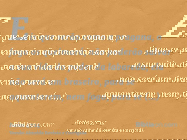Eis que serão como a pragana, o fogo os queimará; não poderão salvar a sua vida do poder da labareda; ela não será um braseiro, para se aquentarem, nem fogo, pa