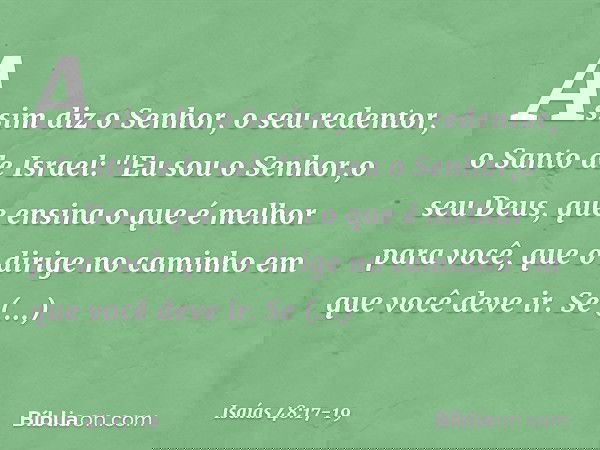 Assim diz o Senhor, o seu redentor,
o Santo de Israel:
"Eu sou o Senhor,o seu Deus,
que ensina o que é melhor para você,
que o dirige no caminho
em que você dev