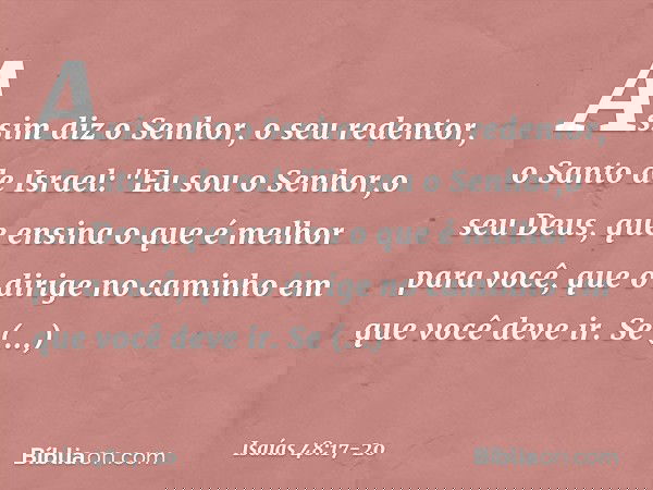 Assim diz o Senhor, o seu redentor,
o Santo de Israel:
"Eu sou o Senhor,o seu Deus,
que ensina o que é melhor para você,
que o dirige no caminho
em que você dev