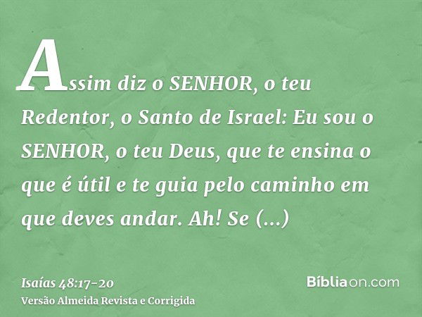 Assim diz o SENHOR, o teu Redentor, o Santo de Israel: Eu sou o SENHOR, o teu Deus, que te ensina o que é útil e te guia pelo caminho em que deves andar.Ah! Se 