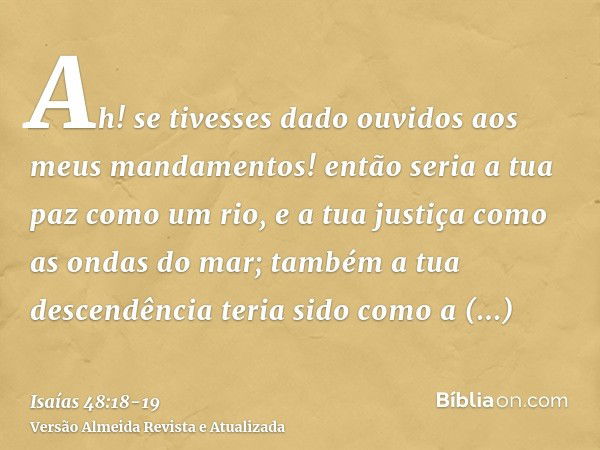 Ah! se tivesses dado ouvidos aos meus mandamentos! então seria a tua paz como um rio, e a tua justiça como as ondas do mar;também a tua descendência teria sido 