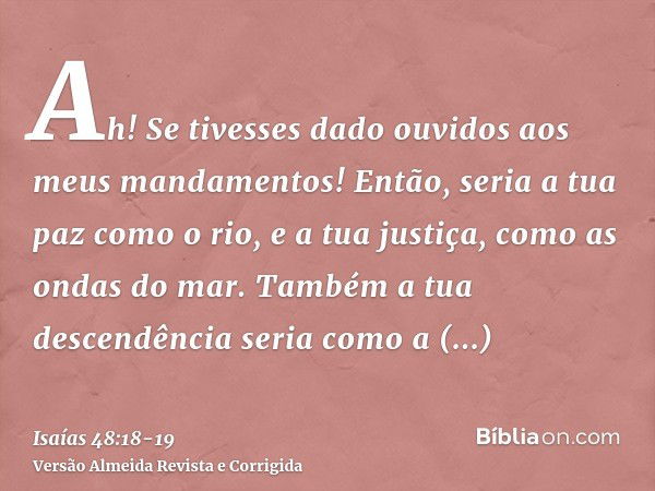 Ah! Se tivesses dado ouvidos aos meus mandamentos! Então, seria a tua paz como o rio, e a tua justiça, como as ondas do mar.Também a tua descendência seria como