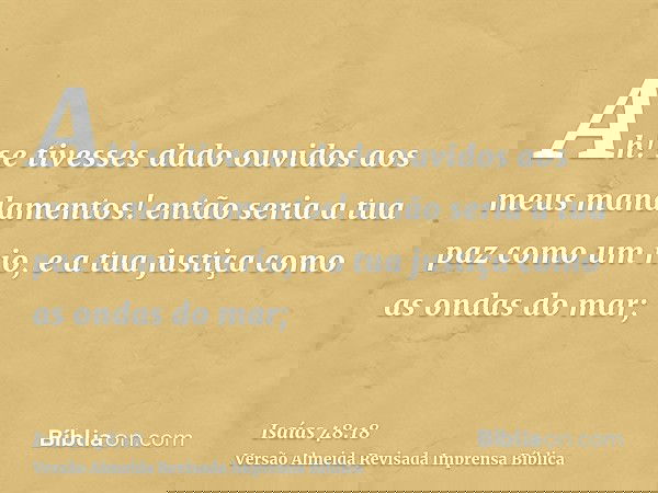 Ah! se tivesses dado ouvidos aos meus mandamentos! então seria a tua paz como um rio, e a tua justiça como as ondas do mar;