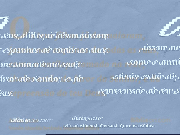 Os teus filhos já desmaiaram, jazem nas esquinas de todas as ruas, como o antílope tomado na rede; cheios estão do furor do Senhor, e da repreensão do teu Deus.