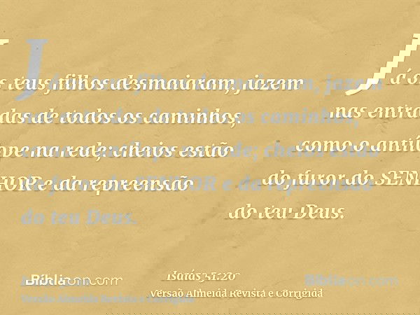 Já os teus filhos desmaiaram, jazem nas entradas de todos os caminhos, como o antílope na rede; cheios estão do furor do SENHOR e da repreensão do teu Deus.