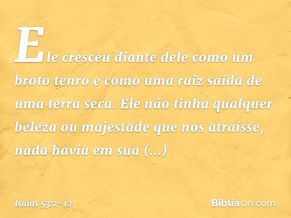 Ele cresceu diante dele
como um broto tenro
e como uma raiz saída de uma terra seca.
Ele não tinha qualquer beleza
ou majestade que nos atraísse,
nada havia em 