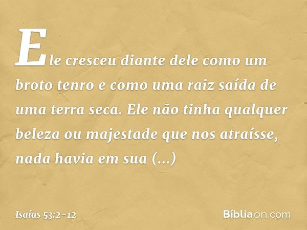 Ele cresceu diante dele
como um broto tenro
e como uma raiz saída de uma terra seca.
Ele não tinha qualquer beleza
ou majestade que nos atraísse,
nada havia em 