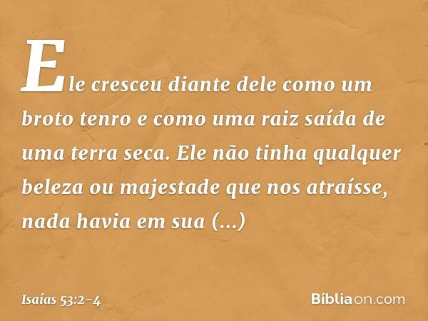 Ele cresceu diante dele
como um broto tenro
e como uma raiz saída de uma terra seca.
Ele não tinha qualquer beleza
ou majestade que nos atraísse,
nada havia em 